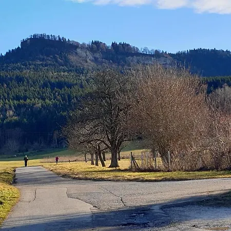 Fewo Schoenfeld Balingen Buitenkant foto